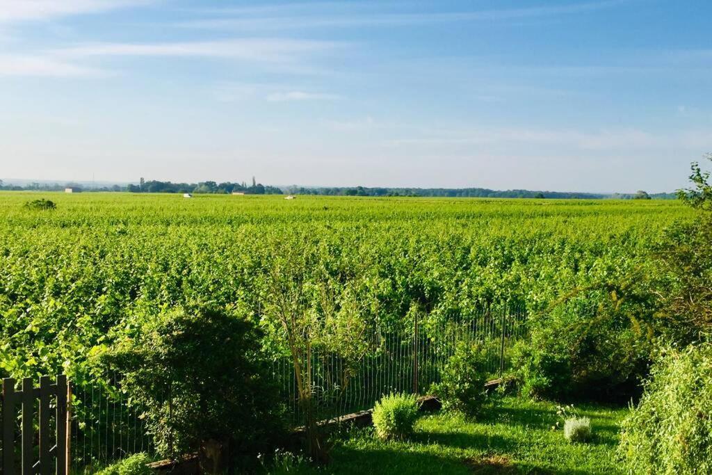 Appartement avec vue sur les vignes à Gevrey Esterno foto